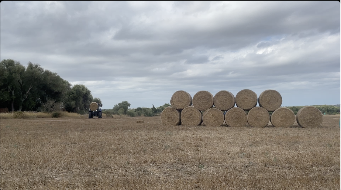 La pagesia, el nostre territori? Festival Eima 2025